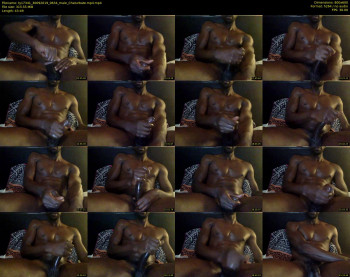 ty17341