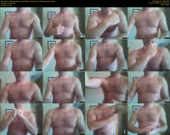 coltmusclebear