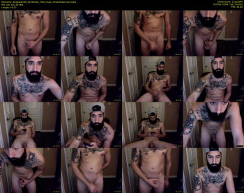 dingostarr89
