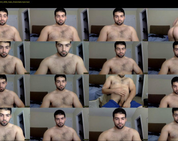 italianstallion252