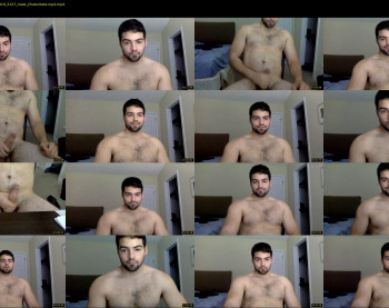 italianstallion252