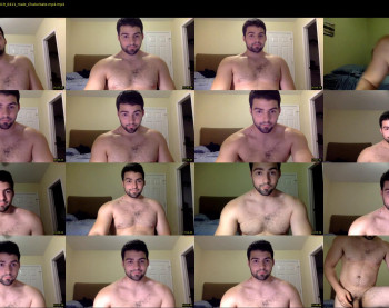 italianstallion252