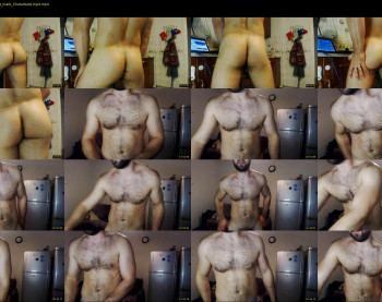 pegas92