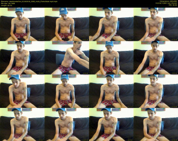 stephonstallion