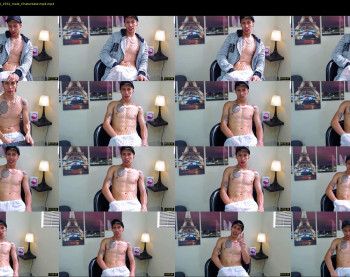 _mateo_hawk_