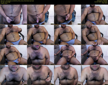 alexlatinbear