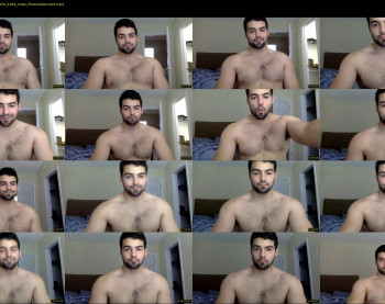 italianstallion252