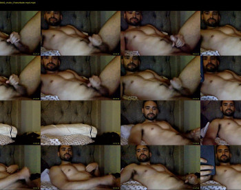 quincydog04