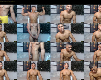 teddyfit19cm