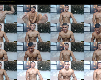 teddyfit19cm