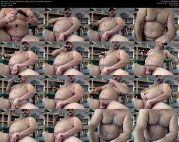 cjbbear
