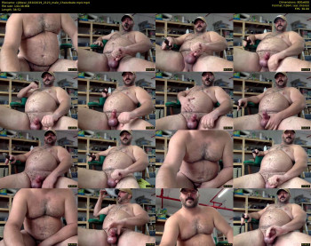 cjbbear