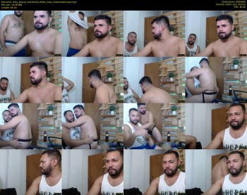 dirty_bears2