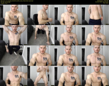mr_lionn83