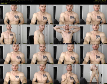 mr_lionn83