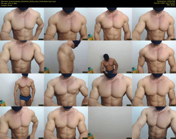 promuscles4u
