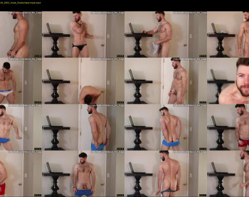about_the_bulge
