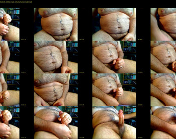 bellyworshipper