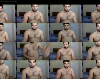 italianstallion252
