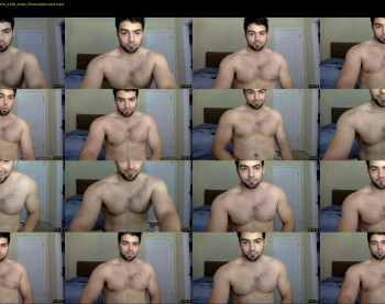italianstallion252