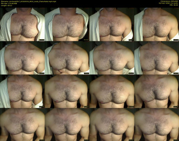 mrchest2017