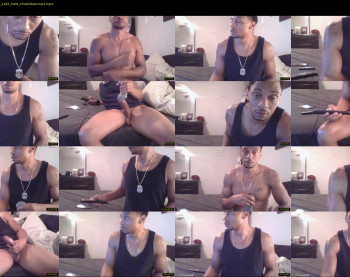 sharkdickwilly