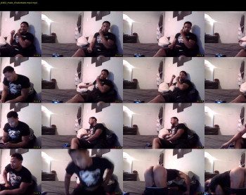 sharkdickwilly