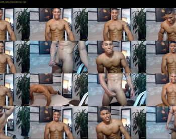 teddyfit19cm