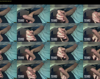 tev83