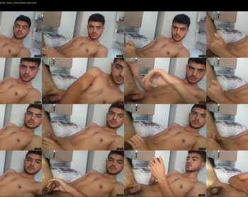 ars_smaldick