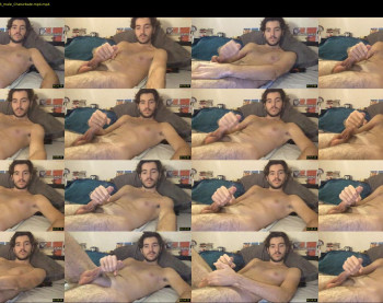 hotbearx