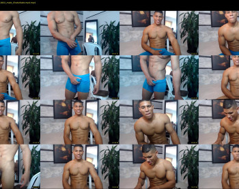 teddyfit19cm