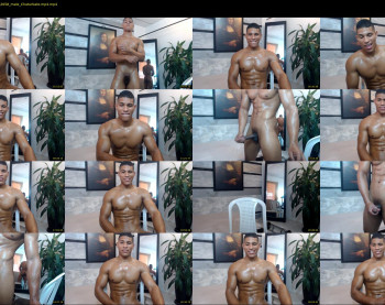 teddyfit19cm