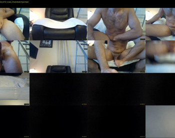 arab_stallion_69
