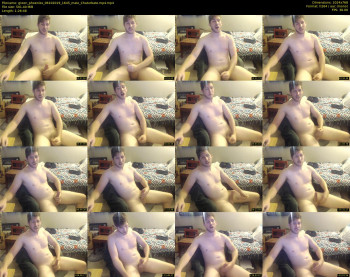 green_phoenixx