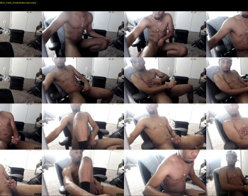 treywentwild