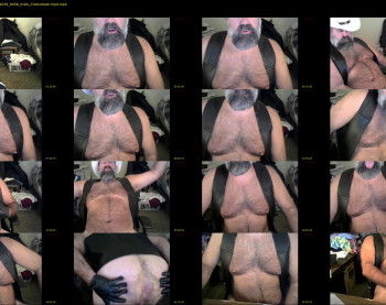 gaymerbear73