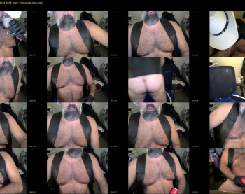 gaymerbear73