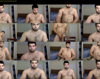 italianstallion252