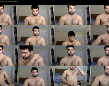italianstallion252