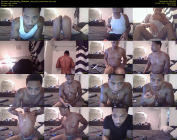 sharkdickwilly
