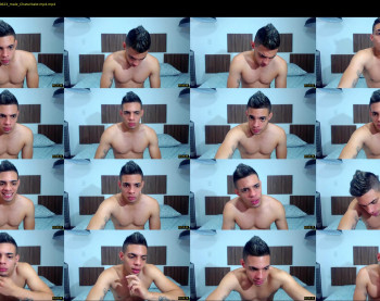 stray_jay282