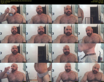 bigbeefusa