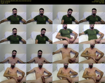 kingcat82