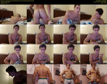 playboymateo