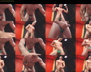 damiann_fox3