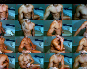 muscletueday