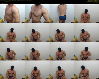 promuscles4u