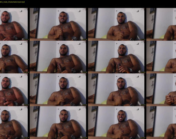 rocky_fly69