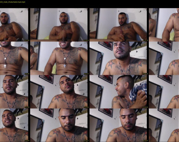 rocky_fly69